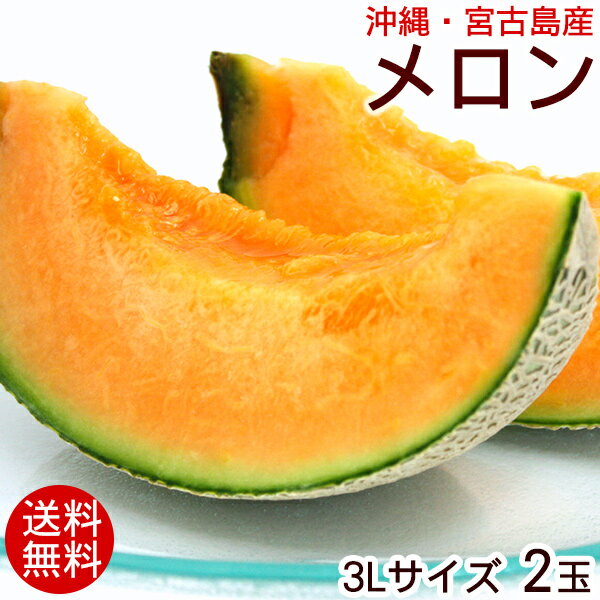 沖縄 宮古島産 メロン 3Lサイズ 2玉 【送料無料】のサムネイル