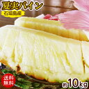 【7/15以降発送予定】石垣島産パイナップル 夏実パイン 約10kg(8~13玉) /ジュワリーパイン ハワイ種 露地栽培【送料無料】