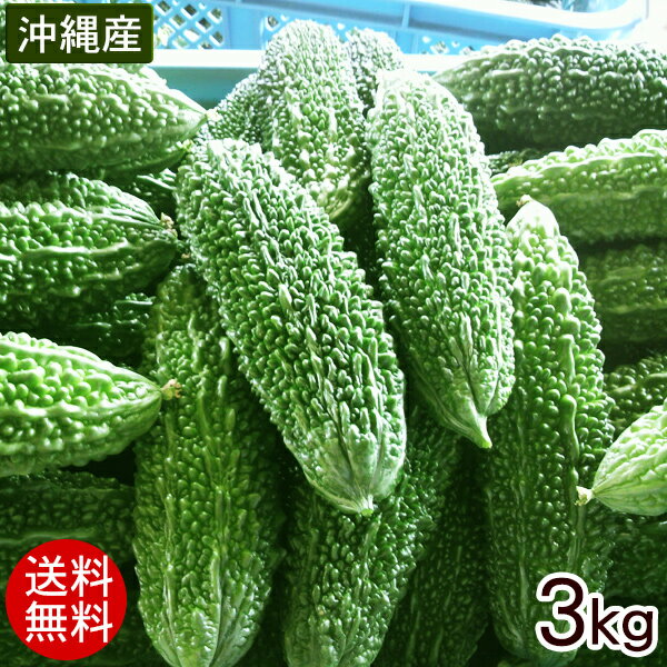 沖縄産 ゴーヤー 約3kg（10〜15本）【送料無料】［冷蔵発送］