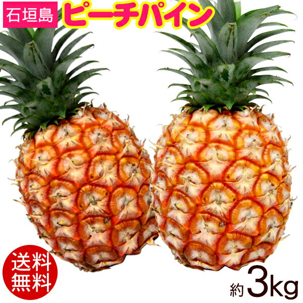 石垣島産ピーチパイン 約3kg（3玉〜6玉）　/沖縄産パイナップル【送料無料】のサムネイル