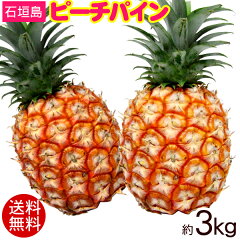 https://thumbnail.image.rakuten.co.jp/@0_mall/ma-sanichi/cabinet/00288929/peach-pain3kg_s1a.jpg