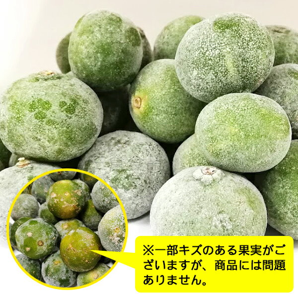 冷凍シークワーサー果実 2kg 　/沖縄産 青切りシークワーサー　【冷凍便】【送料無料】 3