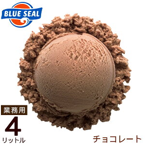 ブルーシールアイス業務用4リットルチョコレート