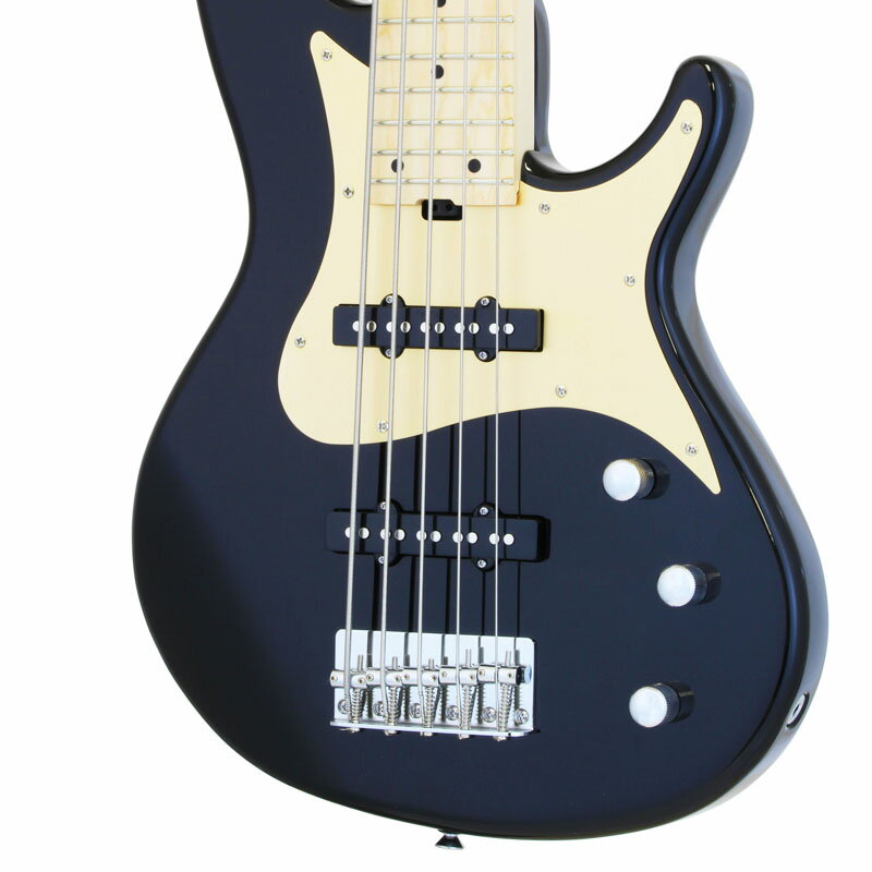 Aria Pro II　RSB-618/5 BK