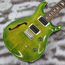 PRS (Paul Reed Smith) Bolt-On - CE ...(2)