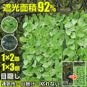 人工観葉植物 クワズイモ 光触媒加工 高さ100cm （P202-zv13000) （代引き不可） インテリアグリーン フェイクグリーン