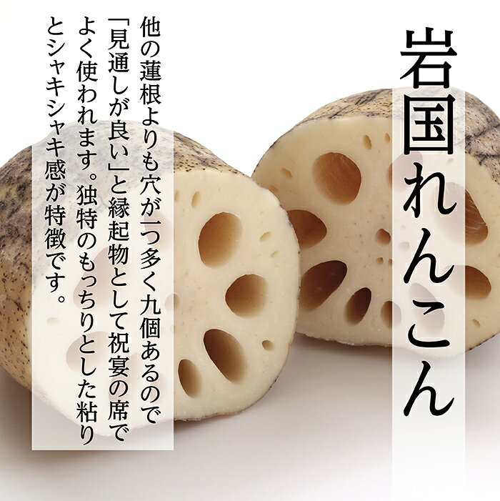 【公式】プレミアム・スープ　蓮根とほうれん草のグリーンポタージュ[単品] 34種の国産野菜と米こうじ入り 米麹 野菜 健康 美容 グルメ スープ マーゼルマーゼル 2