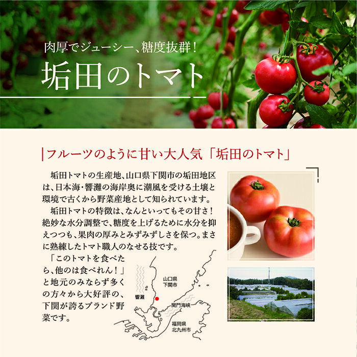 【ポイント5倍】伊達の一 海鮮粕漬 E-30 ギフト 伊達の一 魚 海鮮粕漬け 粕漬け 冷凍 宮城 塩釜 産地直送 ご挨拶 内祝い 結婚内祝い 出産内祝い 景品 結婚祝い 出産祝い お返し 引越し 新生活 卒業祝い 入学祝い 入園 卒園 母の日 父の日 2025