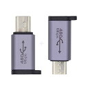 xiwai USB-C USB2.0 Type CメスからマイクロミニUSBオス電源 480Mbps データアダプター チェーンホール付き 2個/ロット(2)