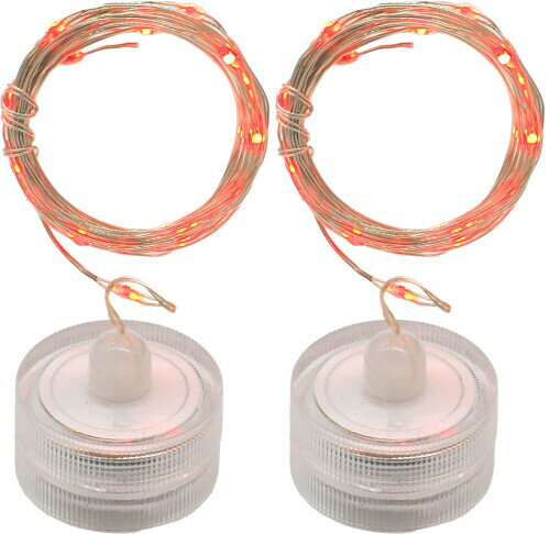 オーディオファン LEDライト 20灯 イルミネーション ストリング ボトルライト CR2032 (別売) 2個で48時..