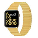 Apple Watch アップルウォッチ バンド Ultra,SE,8,7,6,5,4,3,2,1 38 mm 40 mm 41 mm 42 mm 44 mm 45 mm 49 mm 対応 ステンレス ネオジム磁石 マグネット式 ベルト 調整可能