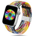 コンパチブル Apple Watch バンド 38mm 40mm 42mm 44mm,ソフトナイロン編組弾性バンド金属バックル 長さ簡単調節 工具不要 アップルウォッチシリーズ 適応 iWatch Series SE 6 5 4 3 2 1 (42mm 44mm, レイン