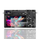 用 SONY α6600 / α6500 / α6300 / α6000 / α5100 保護フィルム ガラスフィルム 2枚 SONY α6600 / α650...