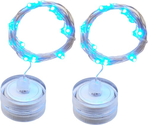 オーディオファン イルミネーション LEDライト ひも状 20灯 ストリング 防滴 屋外 室内 電池式 ブルー ..