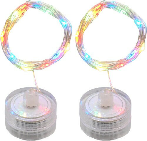 オーディオファン LEDライト 20灯 イルミネーション ストリング ボトルライト CR2032 (別売) 2個で48時..