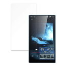 FILMEXT フィルム FIIO JM21 用 保護フィルム ブルーライトカット 反射低減