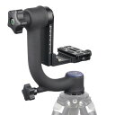 ARTCISE ジンバル雲台 アルミ合金 360度回転 パノラマ アルカスイス規格 クイックシュー 三脚ヘッド DSLR 望遠レンズ デジタル一眼レフカメラ用 大型雲台 野生動物 野鳥撮影 スポーツに対応