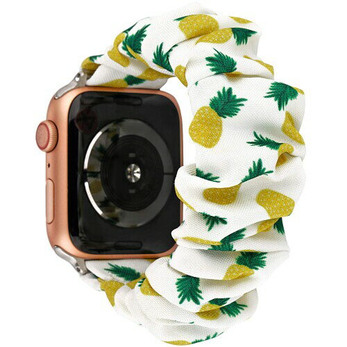 Greaciary Apple WatchХɥ奷ȸߴ42mmۥեȥѥץȥե֥åꥹȥХɥ֥쥹åȽ...