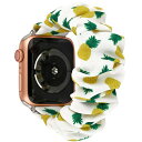 Greaciary Apple Watchバンドシュシュと互換性あり42mm布ソフトパターンプリントファブリックリストバンドブレスレット女性IWatchかわいい...