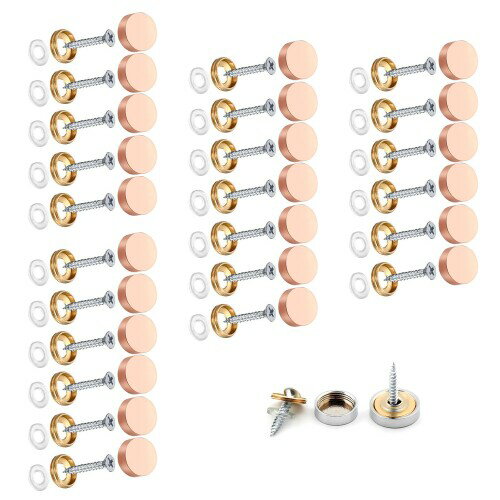 Wopanxye 24個入 飾りビス 装飾キャップ 化粧ビス 鏡止め ビス隠し 飾りビスキャップ ビスキャップ セ..