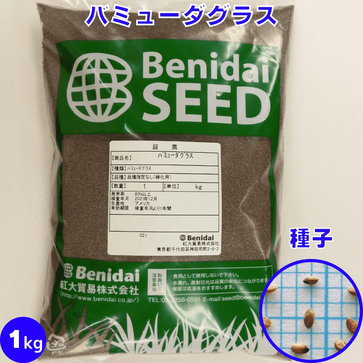 【楽天スーパーSALE 6月4日20時～10％OFF】ペレニアルライグラス マンハッタン7 5kg (1kg×5袋) タキイ種苗 タネのタキイ 芝種 送料無料 代金引換不可