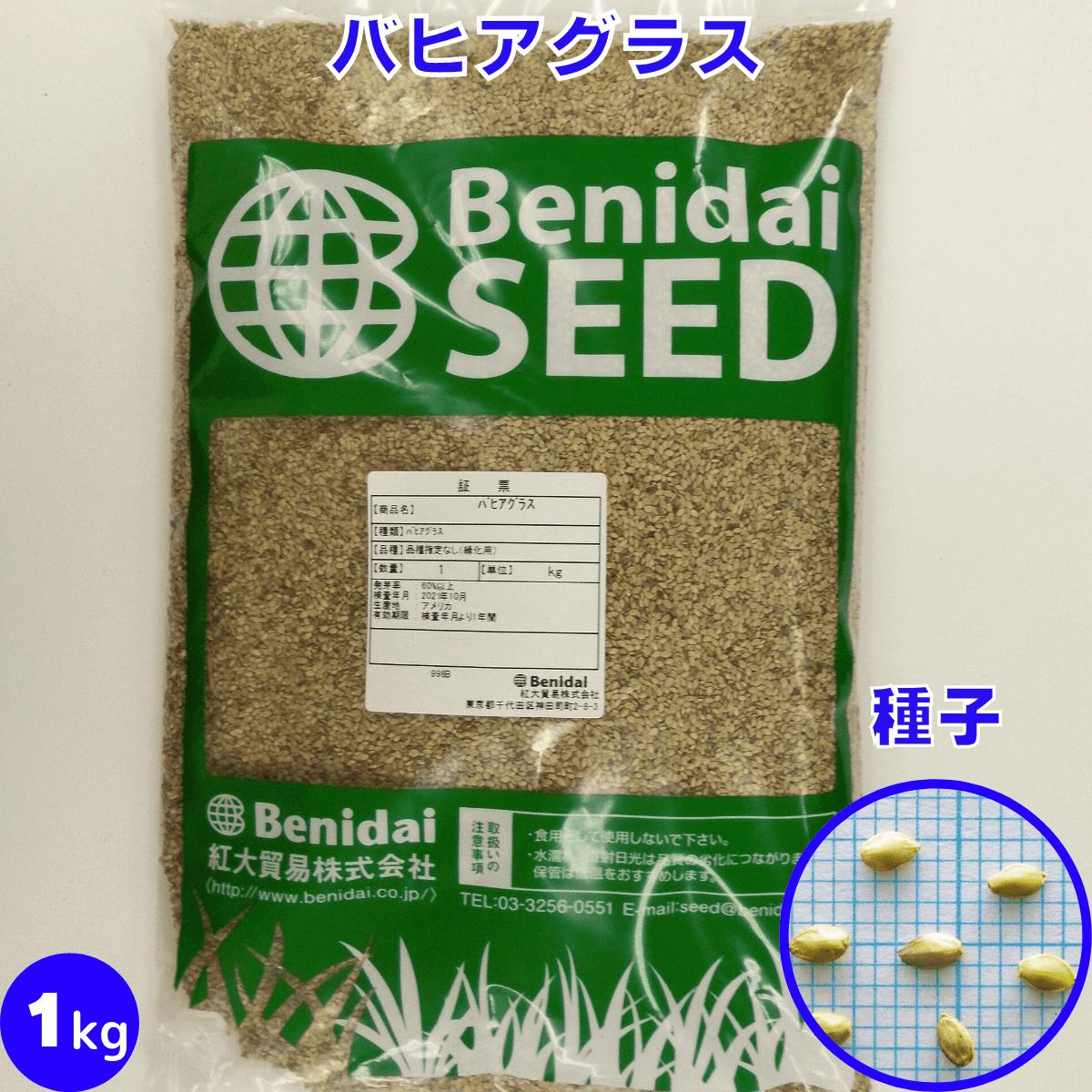 品種バヒアグラ容量1キロ状態種子草丈40〜60cm生育特性・形態ほふく茎／地下茎標準粒数 / g300粒発芽率60%純度98%用途ゴルフ場 パークゴルフ場 侵食防止 芝地用など。特徴中型で太く短いほふく茎および地下茎をもつ多年草です。 水没にも比較的強く、0℃以下でも生存可能で暖地型芝草の中では比較的耐寒性が高いです。 深根性で土壌緊縛力に優れ、暑さや乾燥に強く、痩せ地にも よく生育するため、暖地の緑化工事でよく利用されています。 芝生としては、密度・芝質はやや劣りますが、旺盛な生育で 地表面の保護には適し、ゴルフ場ではラフへも使用できます。