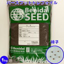 バーズフットトレフォイル 種子 緑化用 紅大貿易