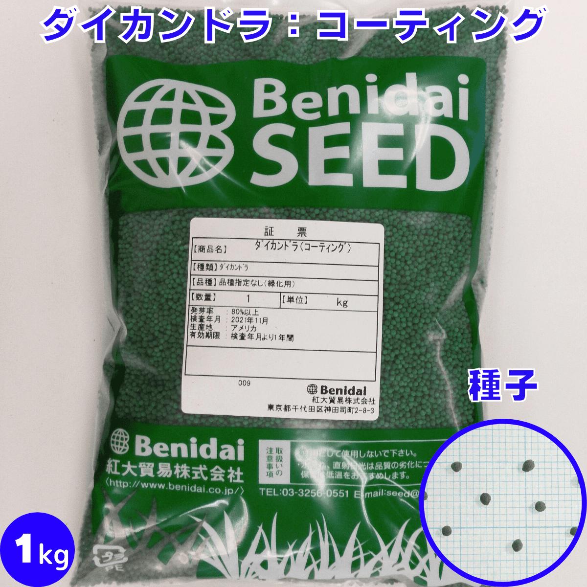 【 緑肥用 クロタラリア ( スペクタビリス ) 】 ネマクリーン 1kg 牧草 栽培用 緑化 種子 カネコ種苗