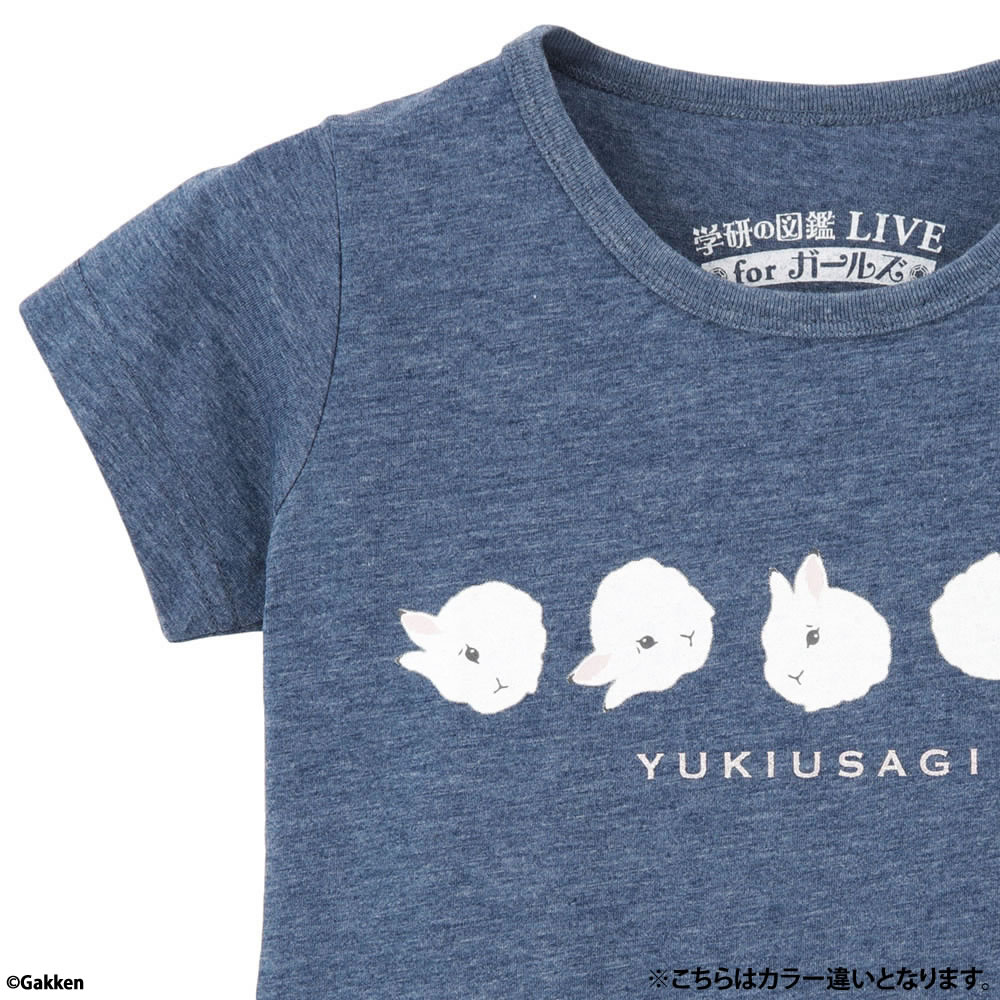 [500円OFFクーポン]【あす楽】半袖Tシャツ 子供 女の子 キッズ Tシャツ・カットソー トップス プリント クルーネック かわいい おしゃれ T-GRAPHICS ティーグラフィックス 学研の図鑑LIVE モフモフTシャツ EJ183-KG051 夏服 夏物