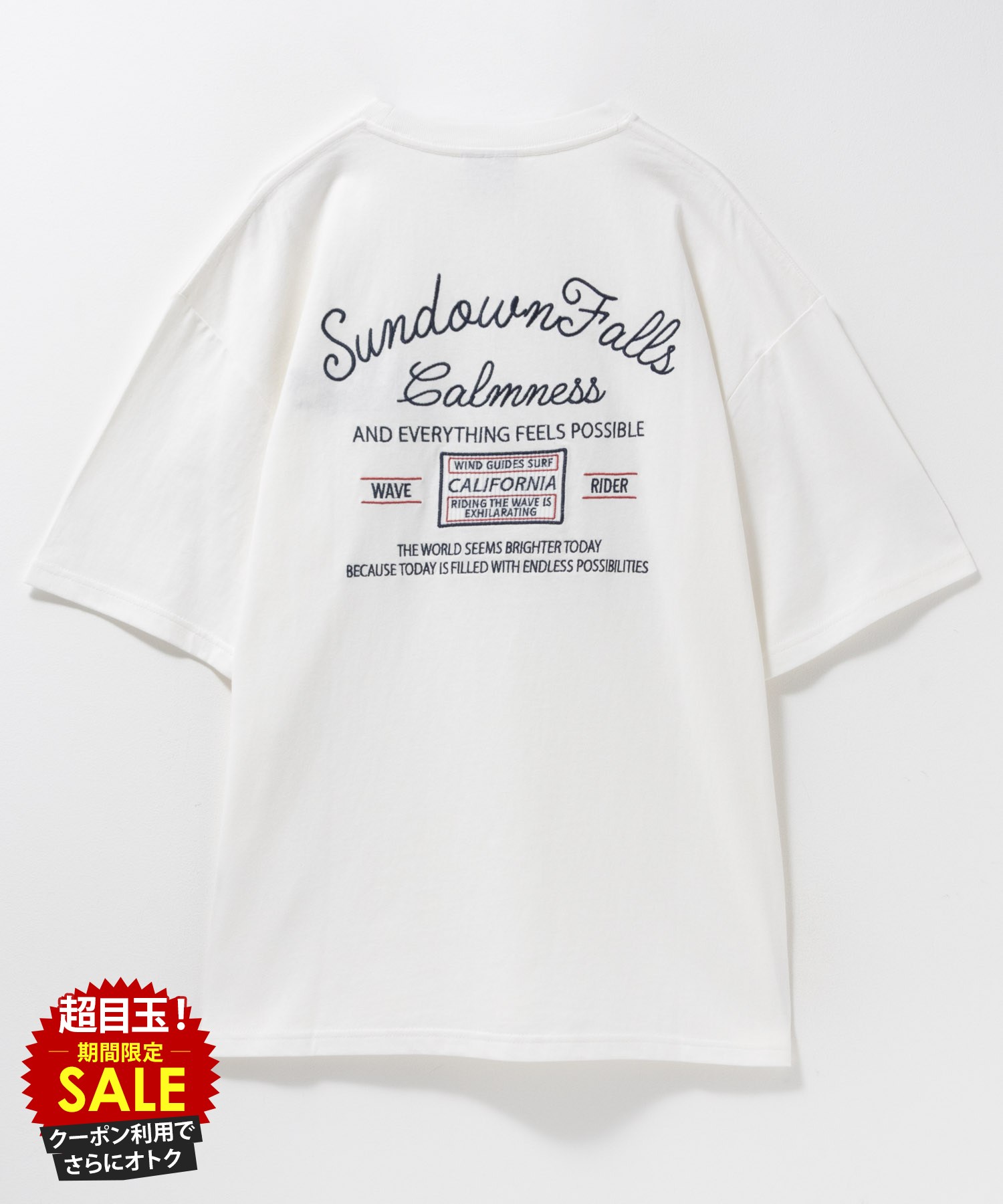 [���̲���][���˥����ݥ�ǳ��]T����� ��� Ⱦµ 5ʬµ ��100�� ���åȥ� �롼�����륨�å� �礭�� ��ä��� �ȥåץ� ���� �ɽ� ��åڥ� �� ...