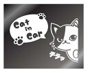 ひょっこりネコ カッティングステッカー デカール (白, Cat)(3)