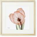 絵画「赤いチューリップ」インテリア 絵 花 アートパネル 額入り(縦32cm x 横32cm)