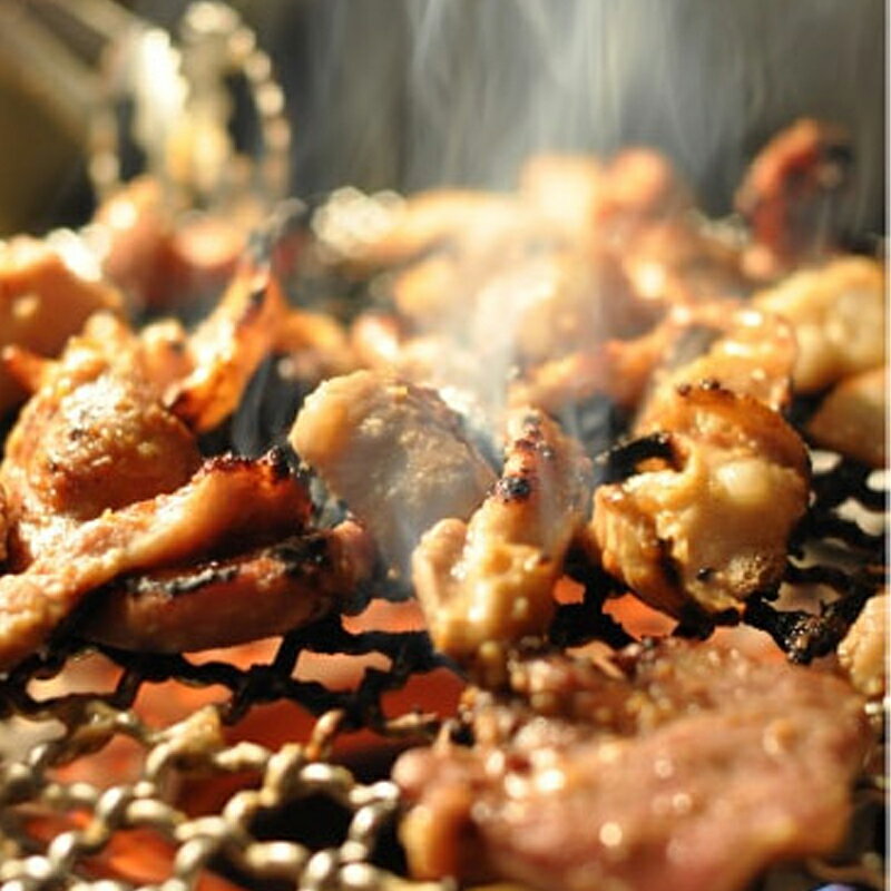気仙沼ホルモン塩(焼き) 500g 亀山精肉店 ホルモン 塩 塩ダレ 焼き 焼肉 たれ 冷凍 宮城 お取り寄せ グルメ ご当地 手土産 ケンミンショー ケンミンSHOW
