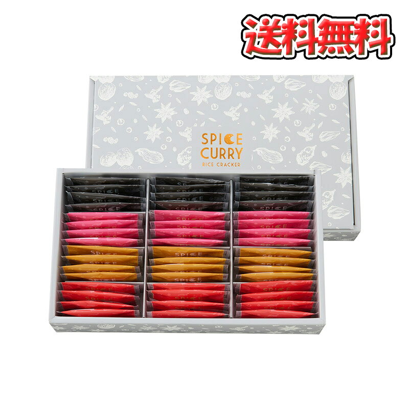 カレーのくち アソート4種 115g×1箱 煎餅 おせんべい カレーの口 カレーせんべい 詰め合わせ アソート ギフト 手土産