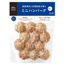 成城石井 自家製 国産豚と淡路島産玉葱のミニハンバーグ 480g ハンバーグ お弁当 おかず 冷蔵