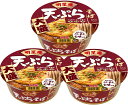明星庵 天ぷらそば 大盛 112g×3個 そば カップ麺 インスタント サタプラ サタデープラス ひたすら試してランキング