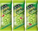赤城乳業 大人なガリガリ君 完熟マスカット 100ml×3本 かき氷 棒アイス スティック シャーベット ガリガリ君(4)