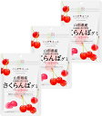ニッポンエール 山形県産 さくらんぼ グミ 40g×3袋セット