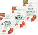 ニッポンエール 宮城県産 仙台 いちご グミ 40g×3袋セット