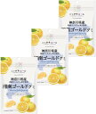 ニッポンエール 神奈川県産 湘南ゴールドグミ 40g×3袋セット