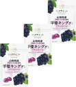 ニッポンエール 山梨県産 甲斐キング グミ 40g×3袋セット