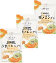 ニッポンエール 北海道産 夕張メロン グミ 40g×3袋セット
