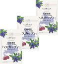 ニッポンエール 北海道産ハスカップ グミ 40g×3袋セット