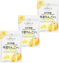 ニッポンエール 岩手県産冬恋りんご グミ 40g×3袋セット