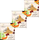 ニッポンエール 北海道産夕張メロン ジュレショコラ 35g×3袋セット