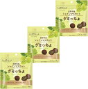 ニッポンエール 長野県産シャインマスカット グミっちょ 35g×3袋セット