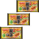 大阪王将 羽根つき餃子 12個入×3袋セット 冷凍 国産 焼き餃子 水餃子 揚げ餃子 鉄板 ホットプレート お取り寄せ グルメ 簡単調理 本格中華 おかず おつまみ ビール サタデープラス サタプラ ひたすら試してランキング 冷凍餃子