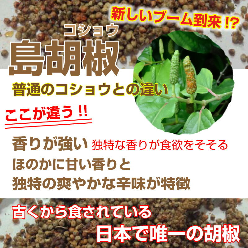 ぴぱーつ 30g 島胡椒 黒胡椒 香辛料 コショウ ナガコショウ ヒハツ 島こしょう ピパーツ ピパーチ ひはつ 島 胡椒 沖縄 ピパーチ ピパーツ ピィヤーシ ピパーツ あさイチ