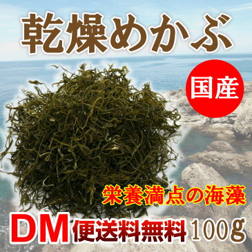 【DM便送料無料】乾燥めかぶ 100g 刻みめかぶ メカブ めひび 国産 芽かぶ 海藻 自然食品 ミネラル フコイダン 乾燥めかぶ わかめ 海草 刻み乾燥めかぶ 乾燥めかぶ みそ汁にも 乾物 その原因xにあり