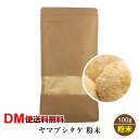 【DM便送料無料】ヤマブシタケ 粉末 100g 山伏茸 パウダー 菌活 四大山海珍味 やまぶしたけ きのこ キノコ スーパーフード あさイチ 令和 敬老の日